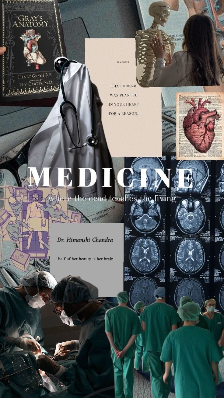 PhD in Medical Anatomy